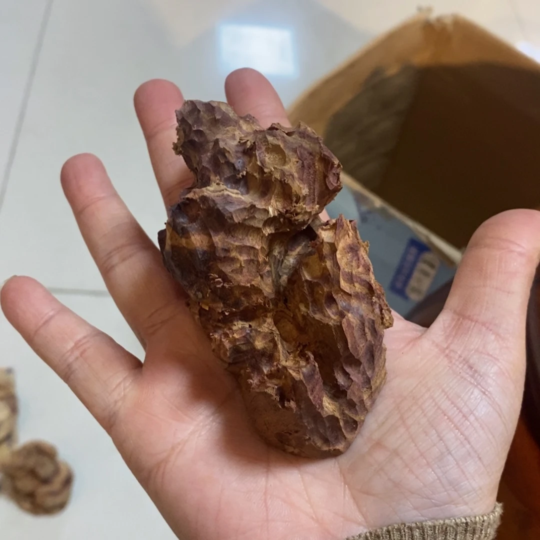 黄花梨/降香黄檀其他6****2原木