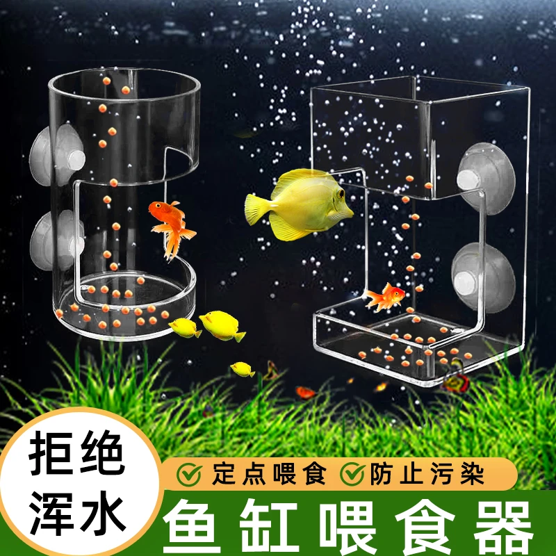 鱼缸喂食器孔雀鱼亚克力小型定点食管下沉飘散自动喂器神器SXH
