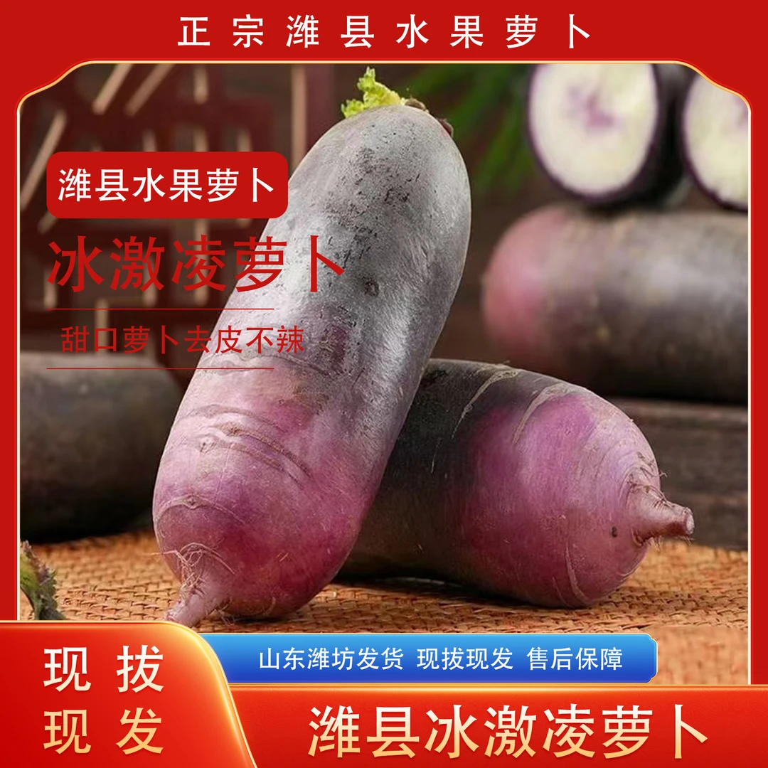 冰激凌萝卜正宗潍坊水果萝卜脆甜青萝卜生吃当季新鲜自种现挖