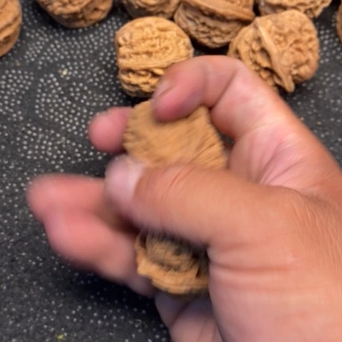 文玩核桃把件水龙1.1