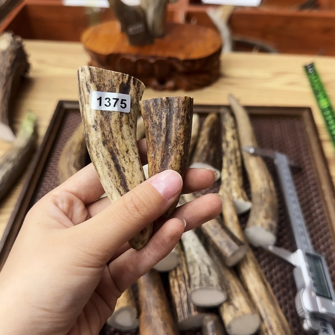 手串/手链鹿骨1375两个角尖