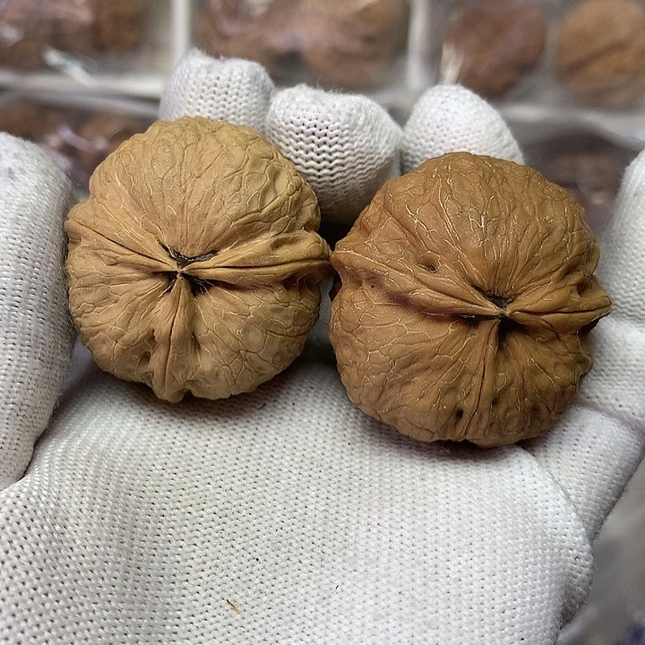 核桃39尺蚂蚱头三棱13号