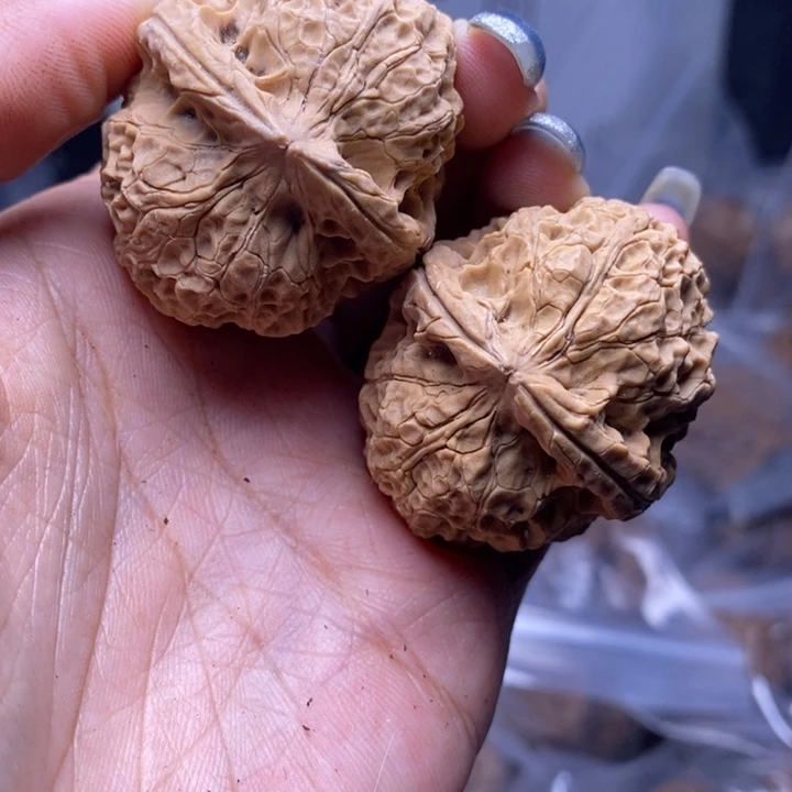 把件文玩核桃云南野生铁核桃65号41mm