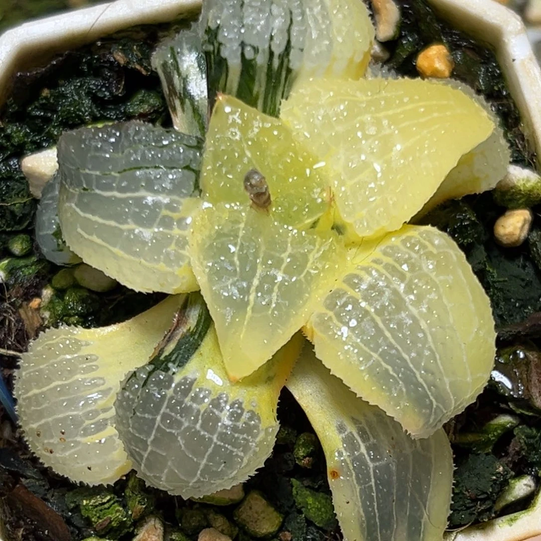 恭喜发财大吉大利764