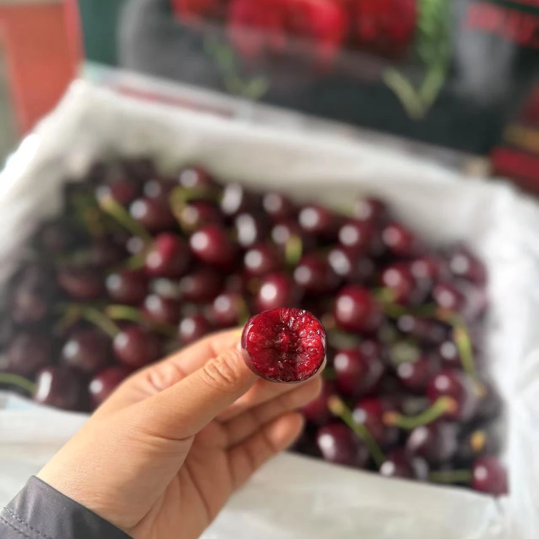 俄八6J大樱桃1份（约1.5斤）胜利甘肃省