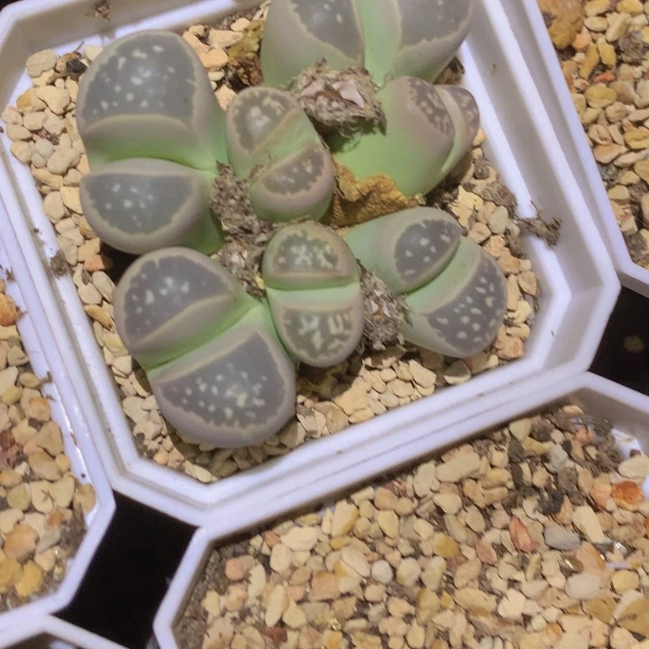 48808000000888899989996