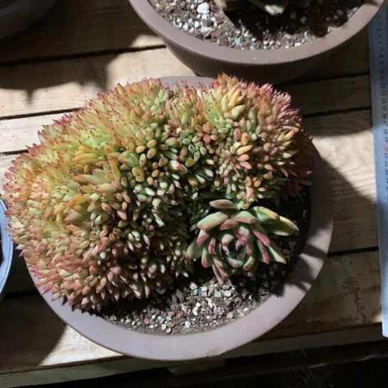 周****8每日特价活动开始啦