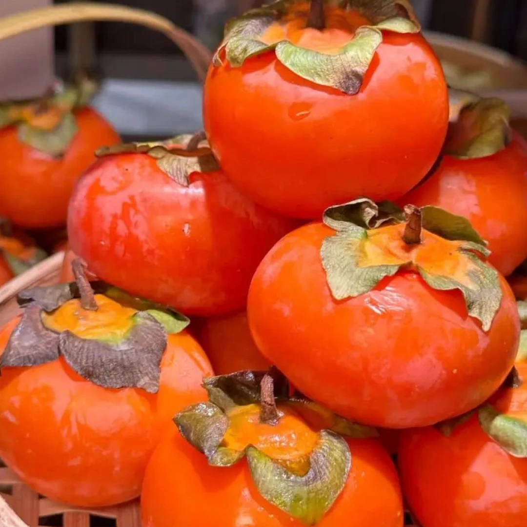 【同城配送】火晶柿子9.9一盒