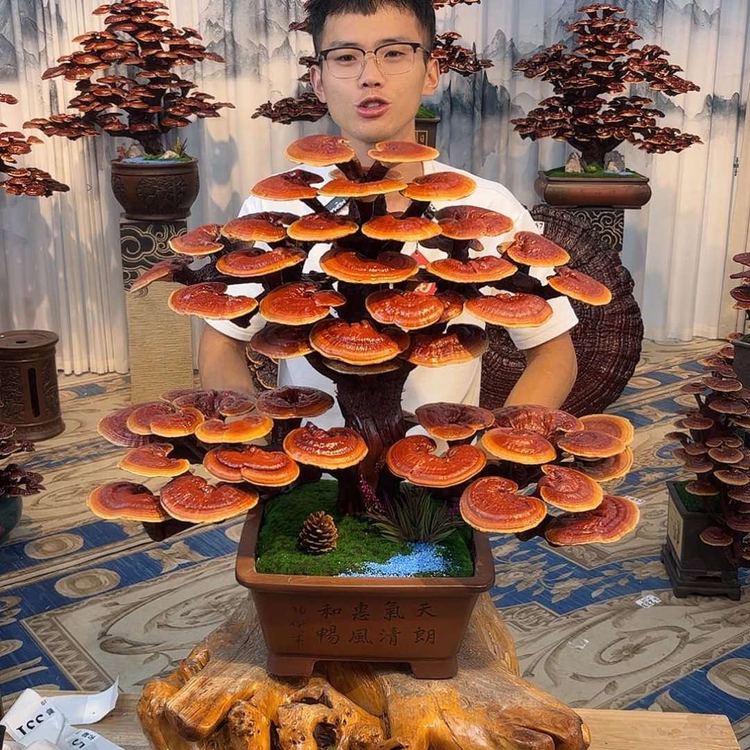 全部花朵8888888888888888
