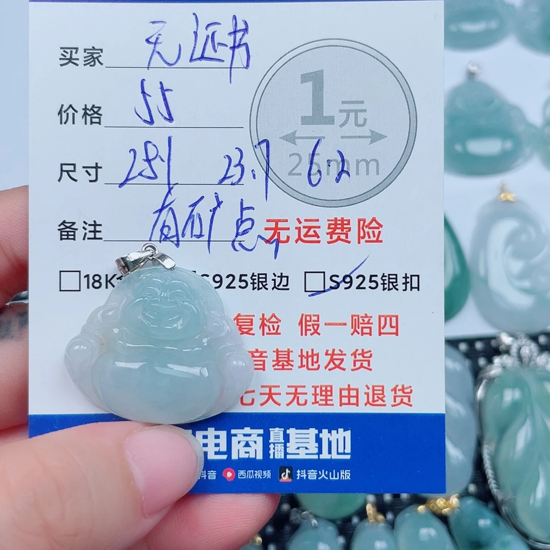 翡翠银S925镶嵌颈饰