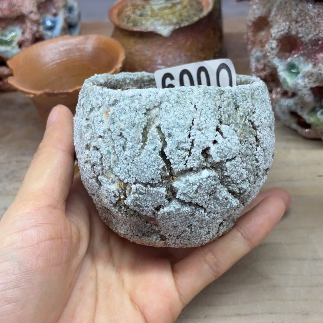 泽***丽陶园柴烧精品好货600