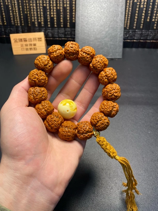 新品上架大金刚菩提（7号）
