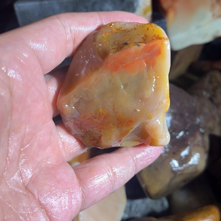 火***堂寿山石8888888888888