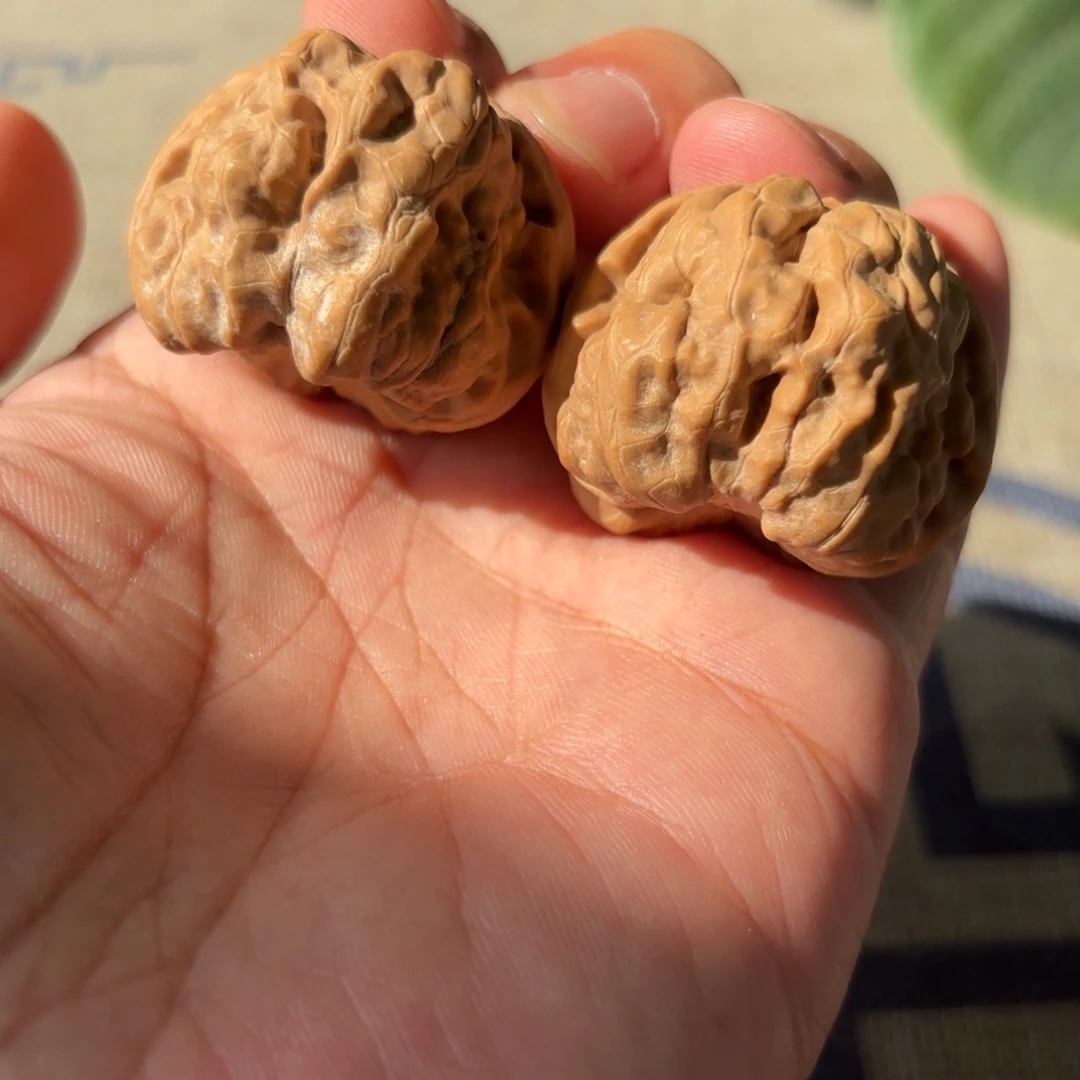 文玩核桃把件蛤蟆头