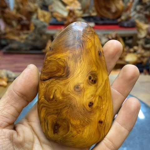 柏木（崖柏）種****慧太行崖柏陈化料摆件