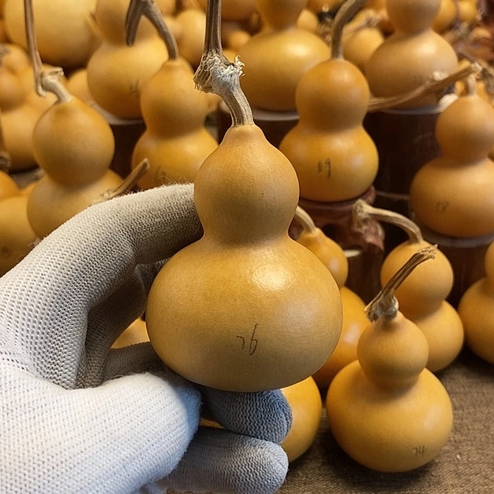 文玩葫芦 完美主义者 慎拍76