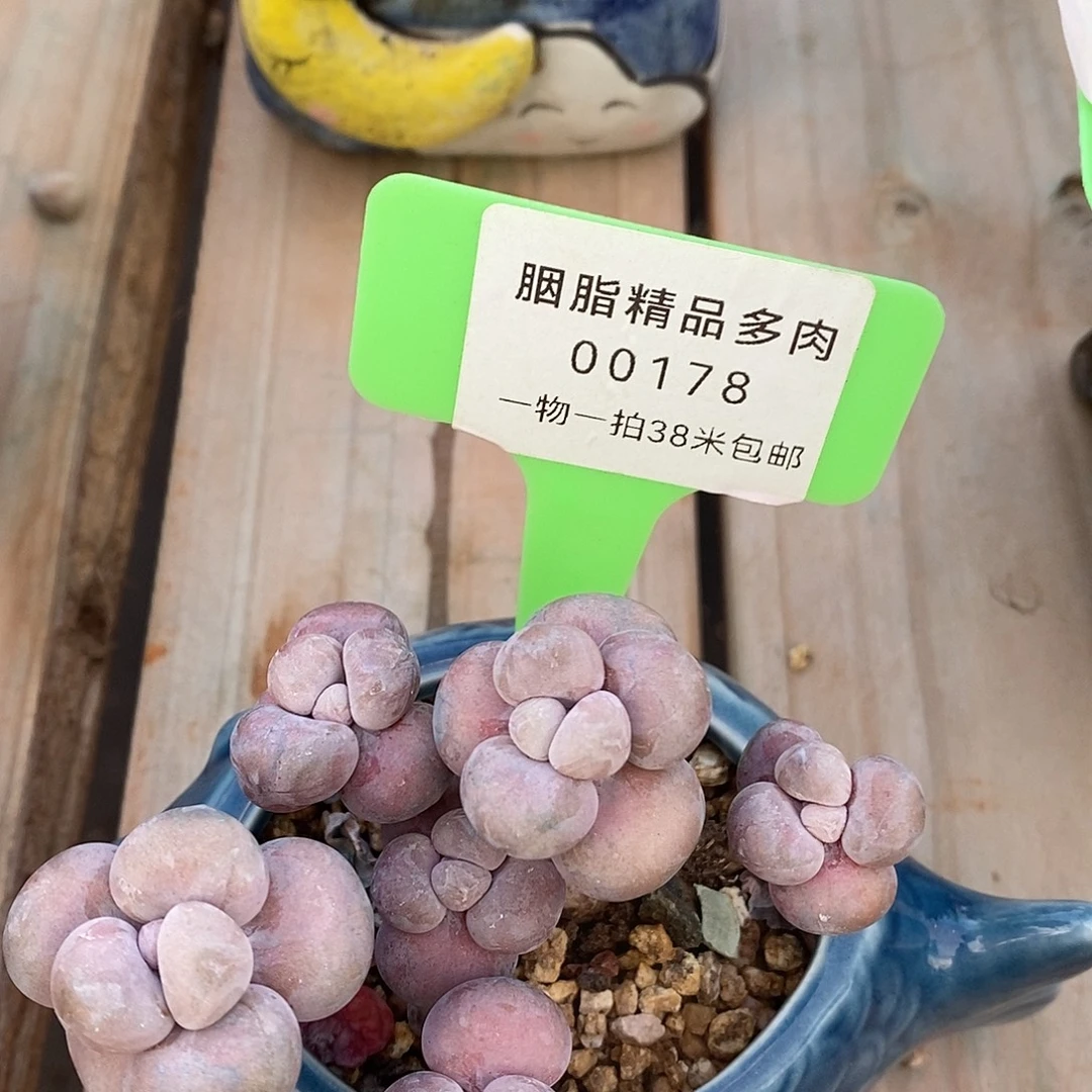 00178，哦就呢木架咯哦