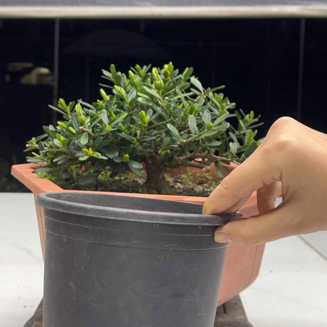 完全开放11111111