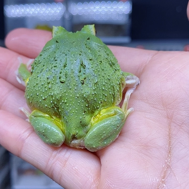 特价秒杀现货特价