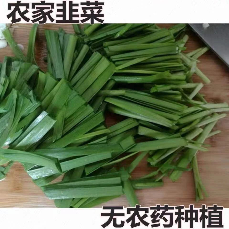 农家自种大棚韭菜泡沫箱包邮