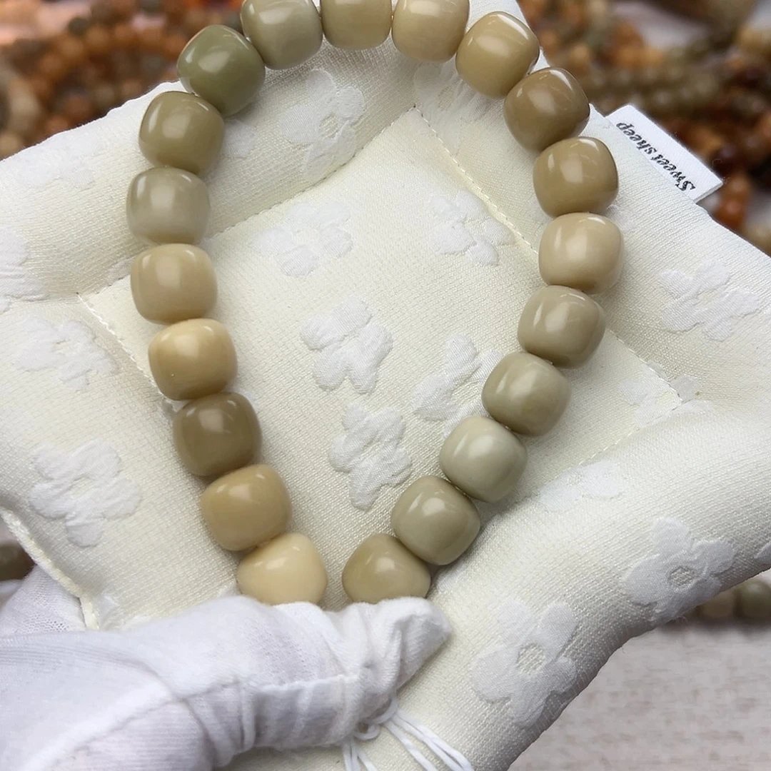 吊坠菩提根/象牙果14干磨燕麦奶咖175