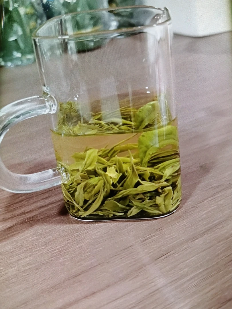 2025年茶新茶珍品特级狗牯脑茶春茶江西茶遂川汤湖绿茶鲜爽醇厚
