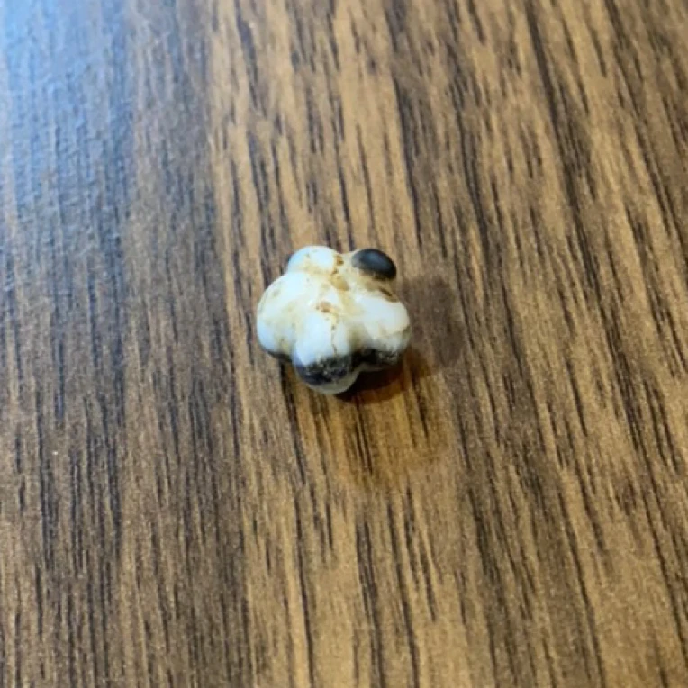 藏地密码，藏式珠子d613