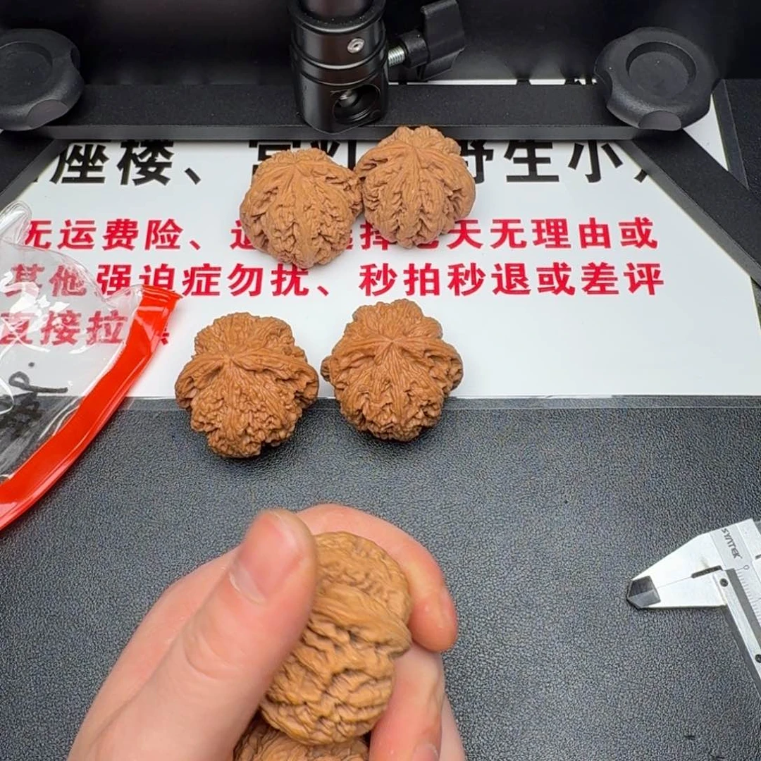 核桃把件游*45 全品大粗筋