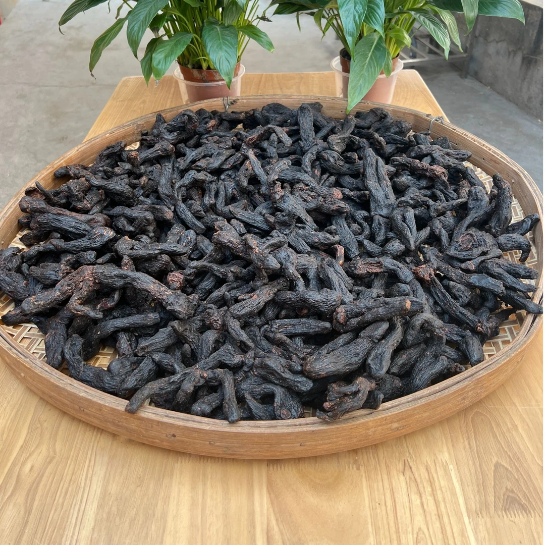 广西黄晶晶，鸡头干根