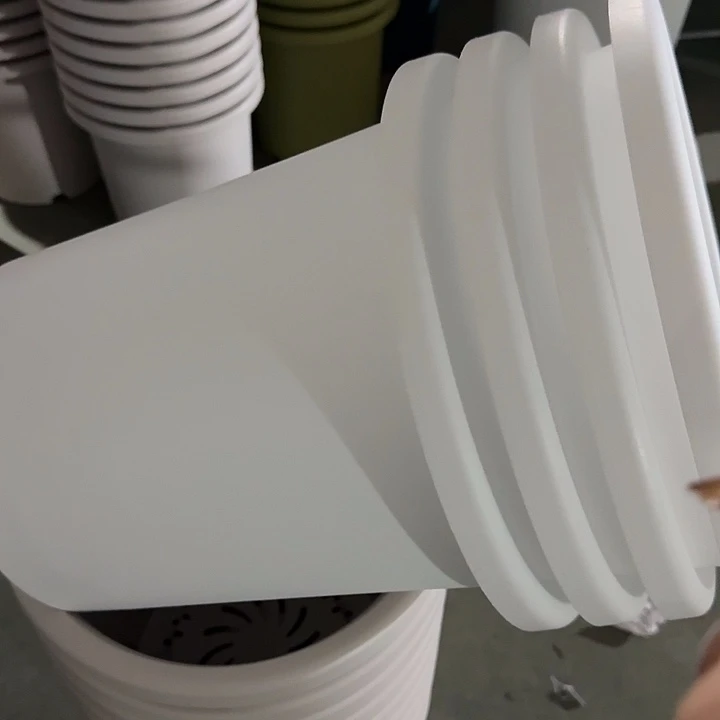 四季7号纯白无托6个特价微瑕