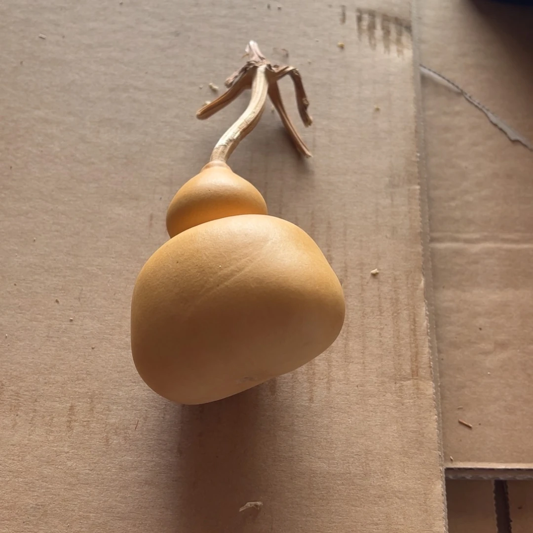 真**缘12234567788865543