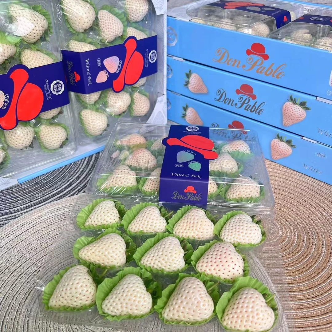 【乐鲜果园】当季白草莓新鲜草莓600g一盒