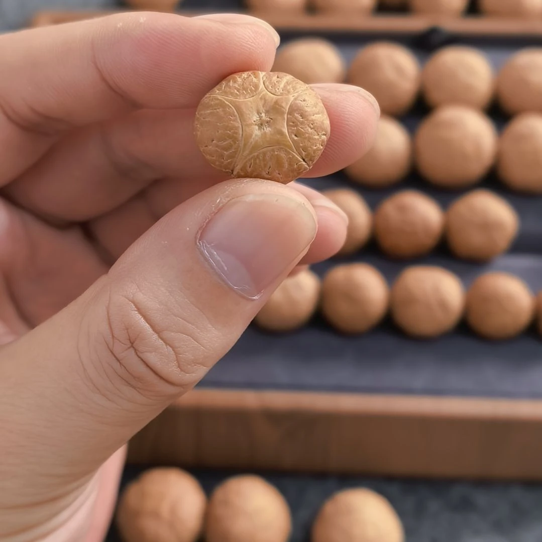 凤眼菩提手串20+五星上将