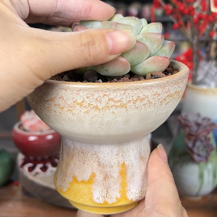 景德镇陶瓷2单包邮