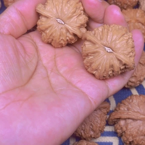 【闪购商品】文玩核桃吊坠汤*白狮子42
