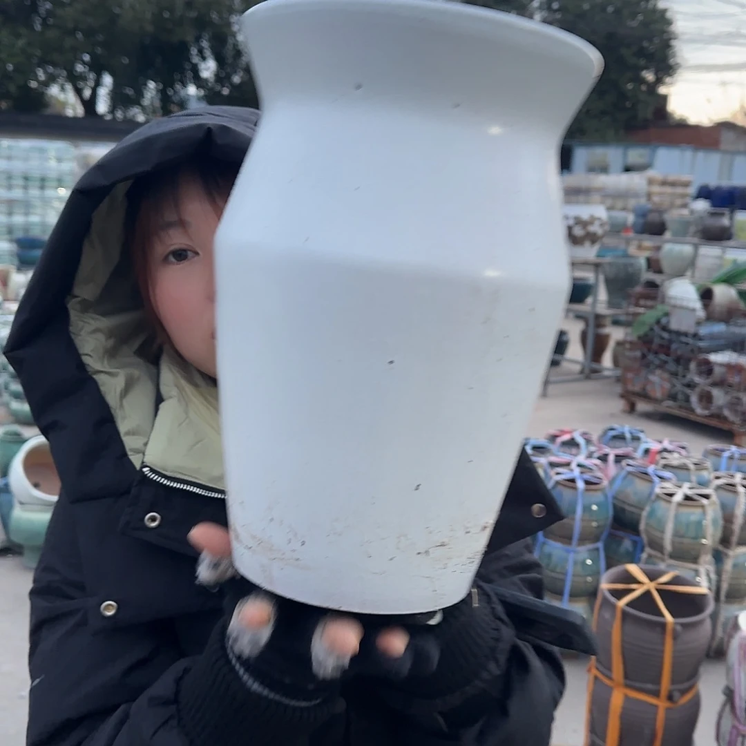 王嫂花盆1231-306高30口20