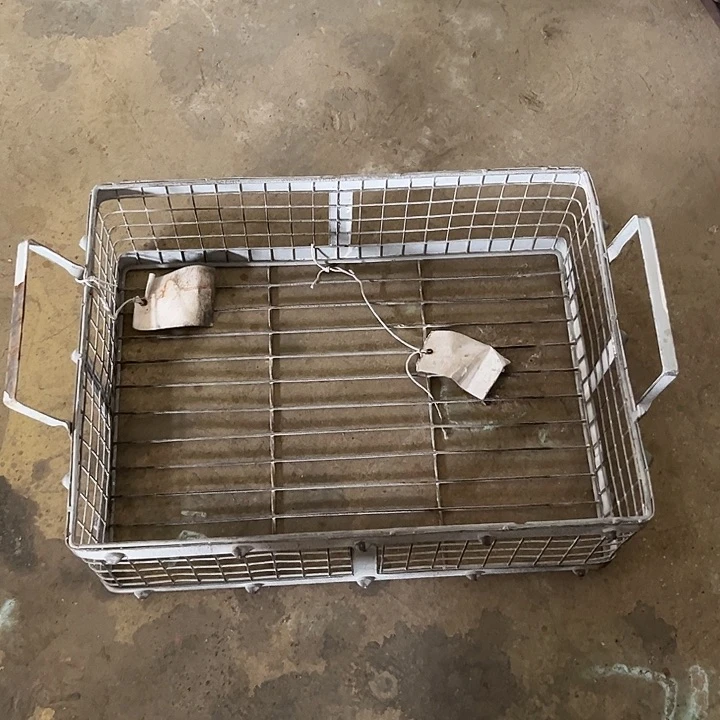 户外运动场和体育设施的建设