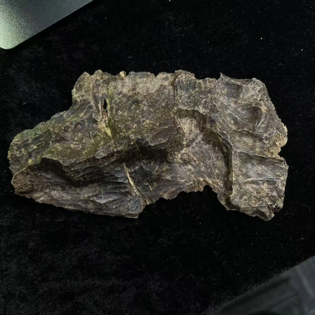 B2192 越南芽庄土沉虫漏老料沉香原料 /  21.2g