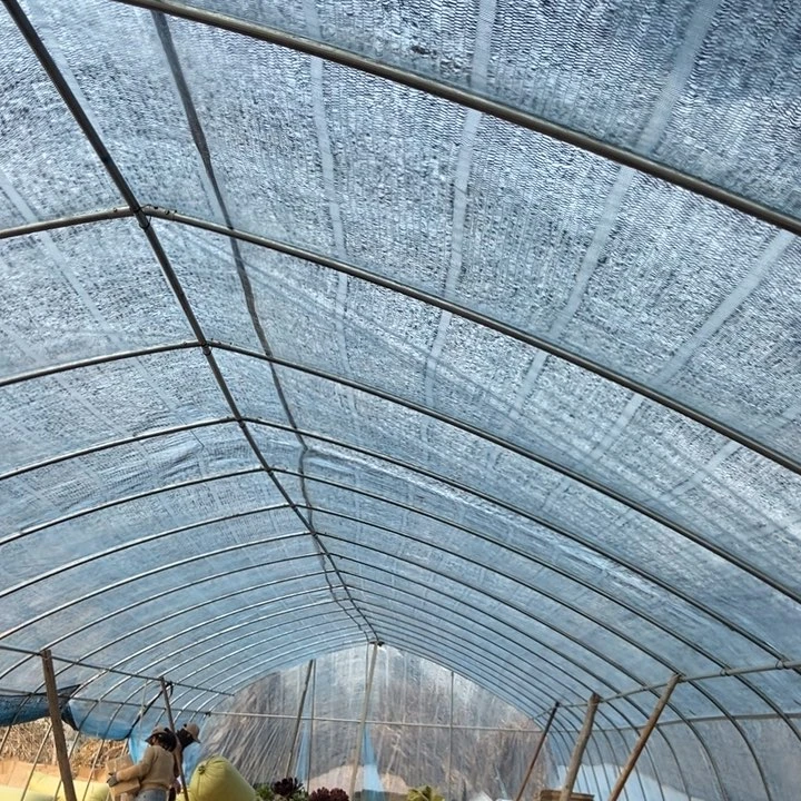 明***月发货发货发货发货