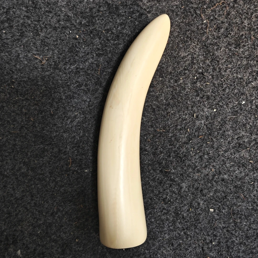 猛犸牙牙尖大摆件