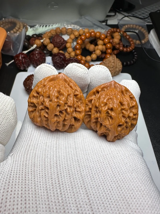 盘龙虎（40左右）新粉丝特惠好评福利/每人限一对