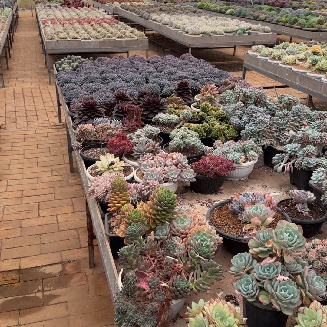 发货链接的哦啦啦噜