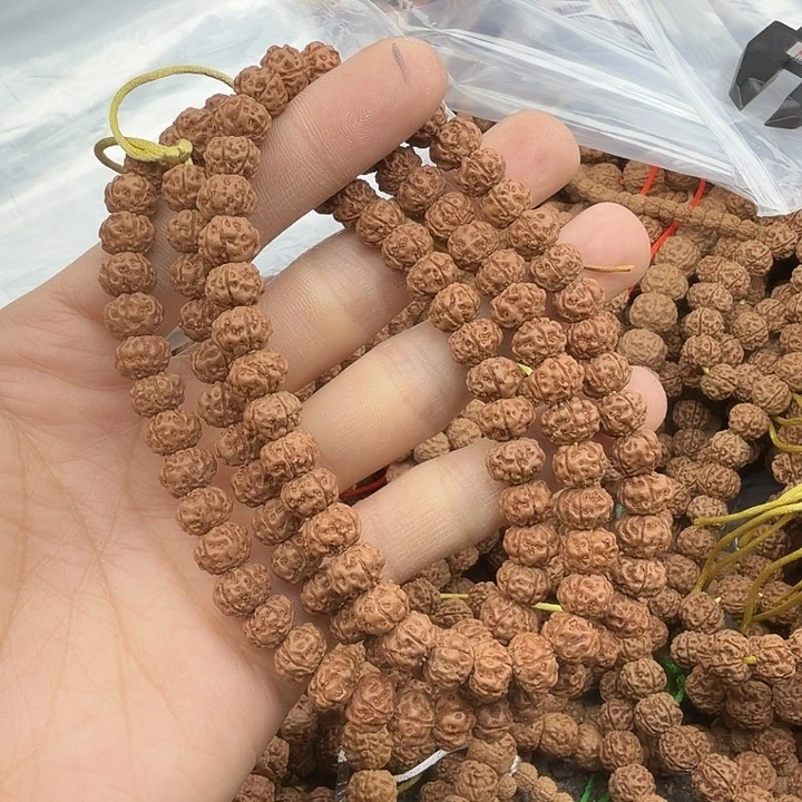 憧***来金刚菩提吊坠树魔