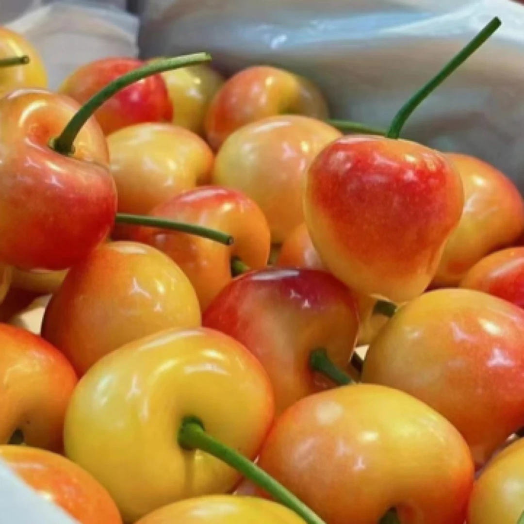 南阳黄樱桃3J一盒1200g-1400g其他品种