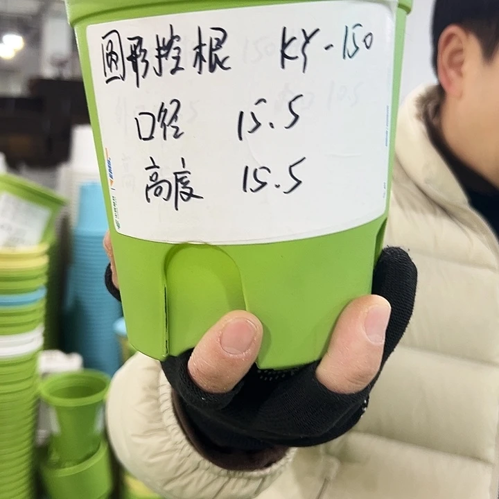 正品圆控口15高15果绿色10个无托