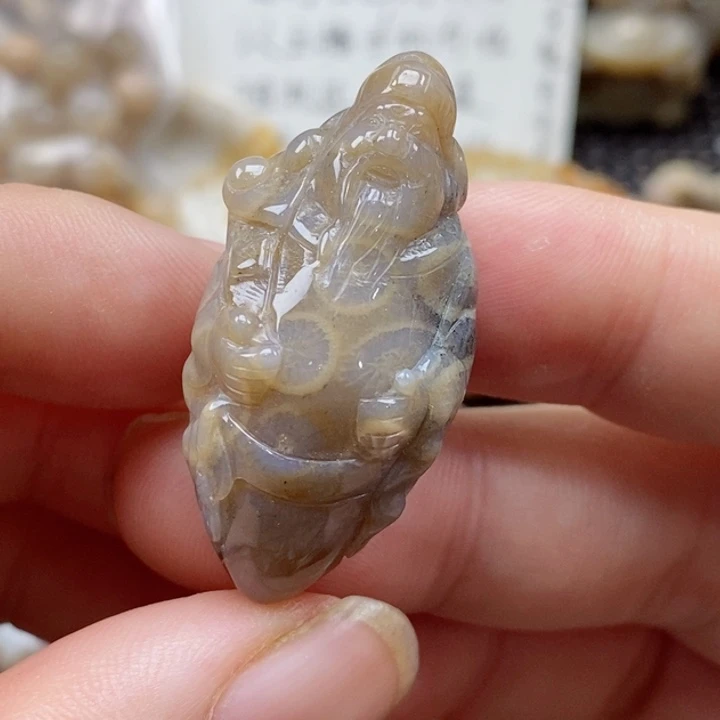 硅化珊瑚（珊瑚玉）颈饰未镶嵌
