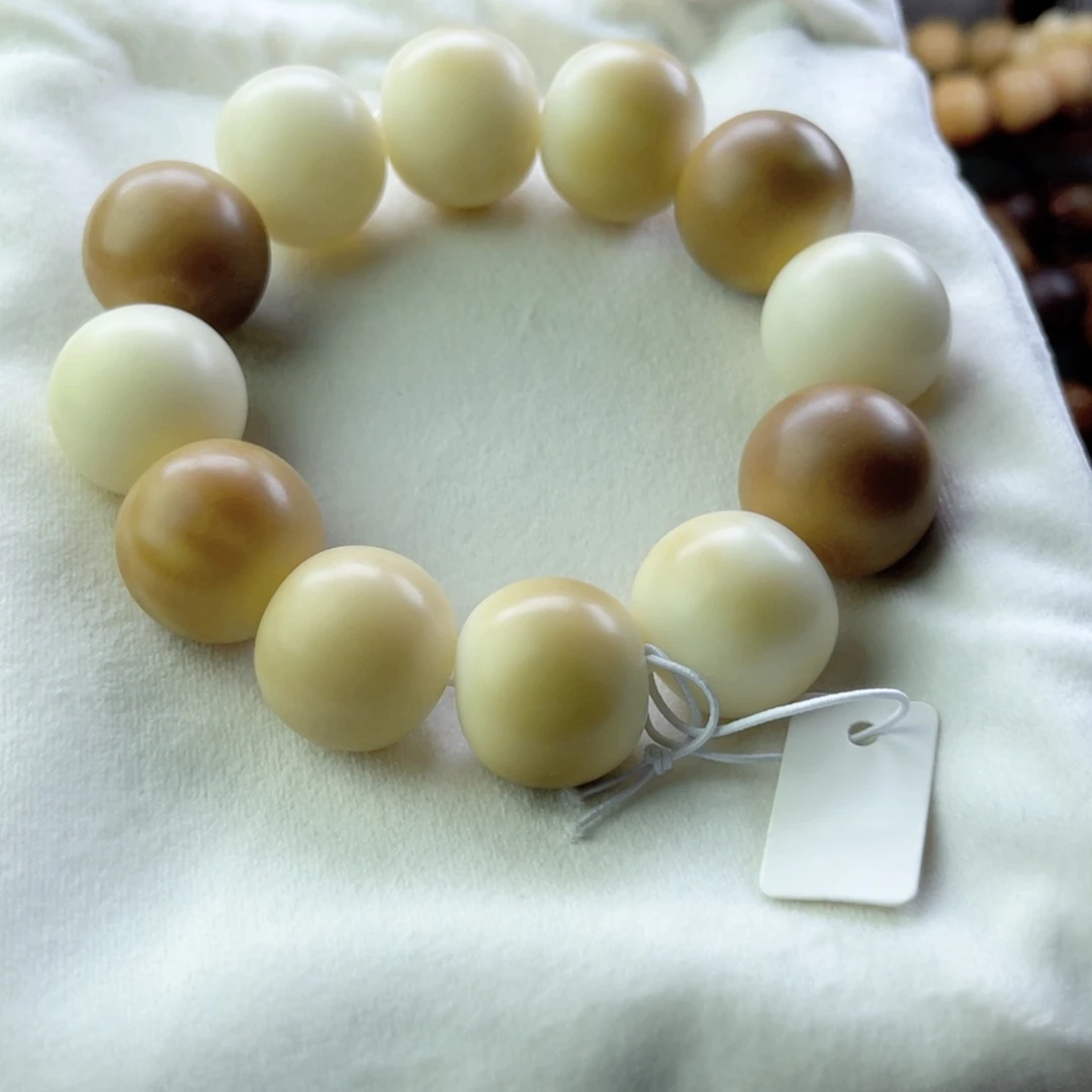 菩提根/象牙果吊坠2号