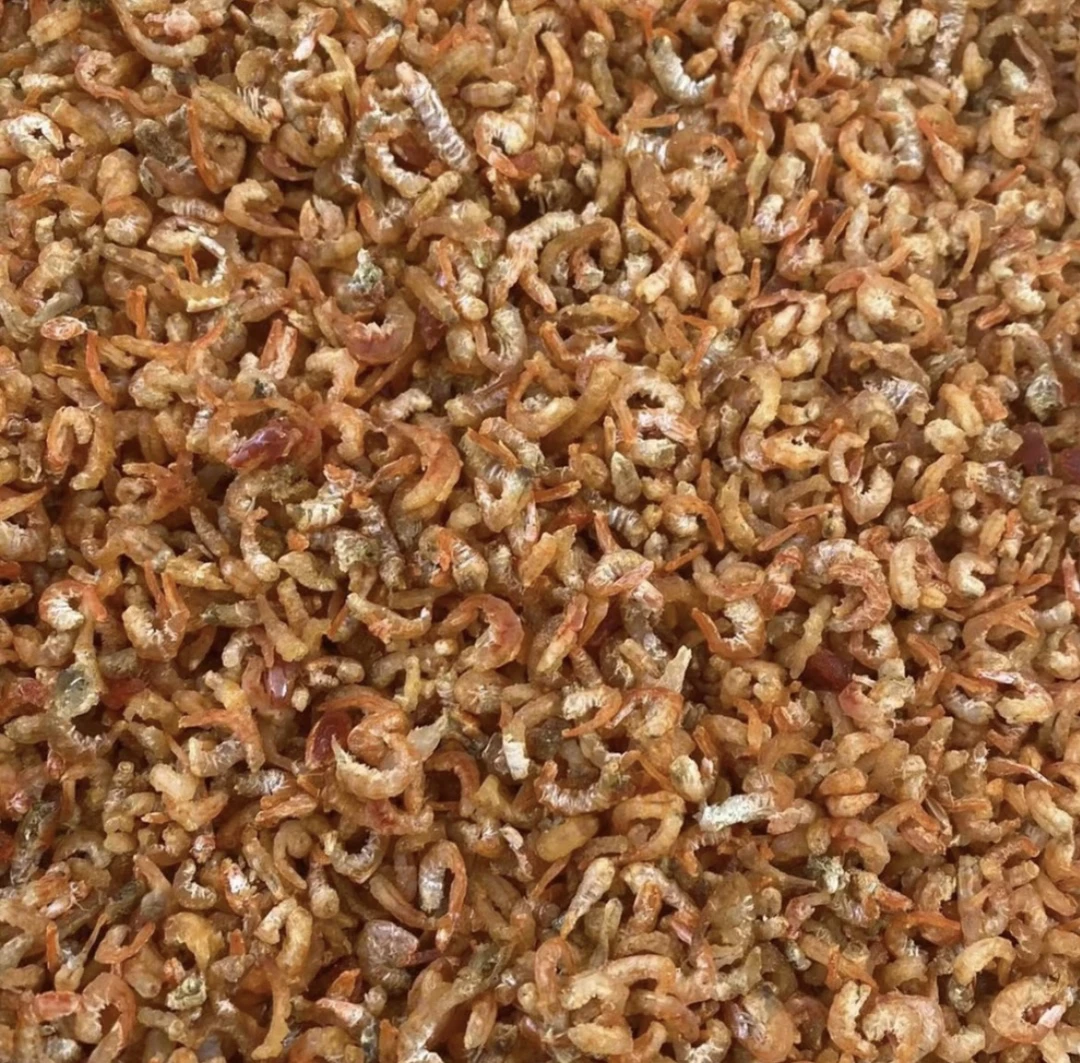 田横岛本地巴答虾米