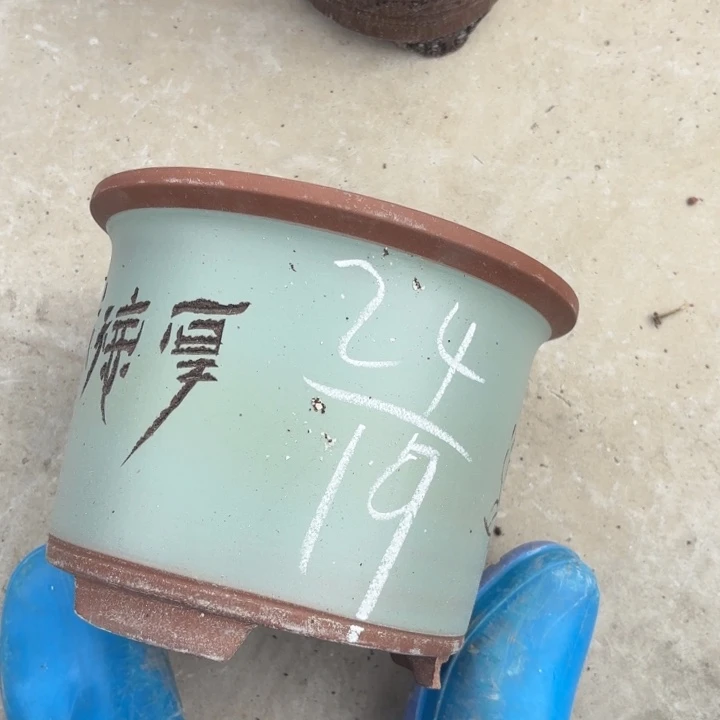 紫砂花盆紫砂的花