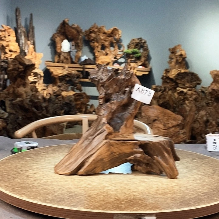 茶盏季*873。株木随行根艺